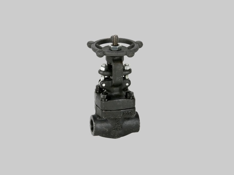 Válvula esclusa ASTM A105N Serie 800 SW